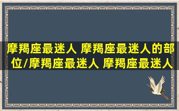 摩羯座最迷人 摩羯座最迷人的部位/摩羯座最迷人 摩羯座最迷人的部位-我的网站